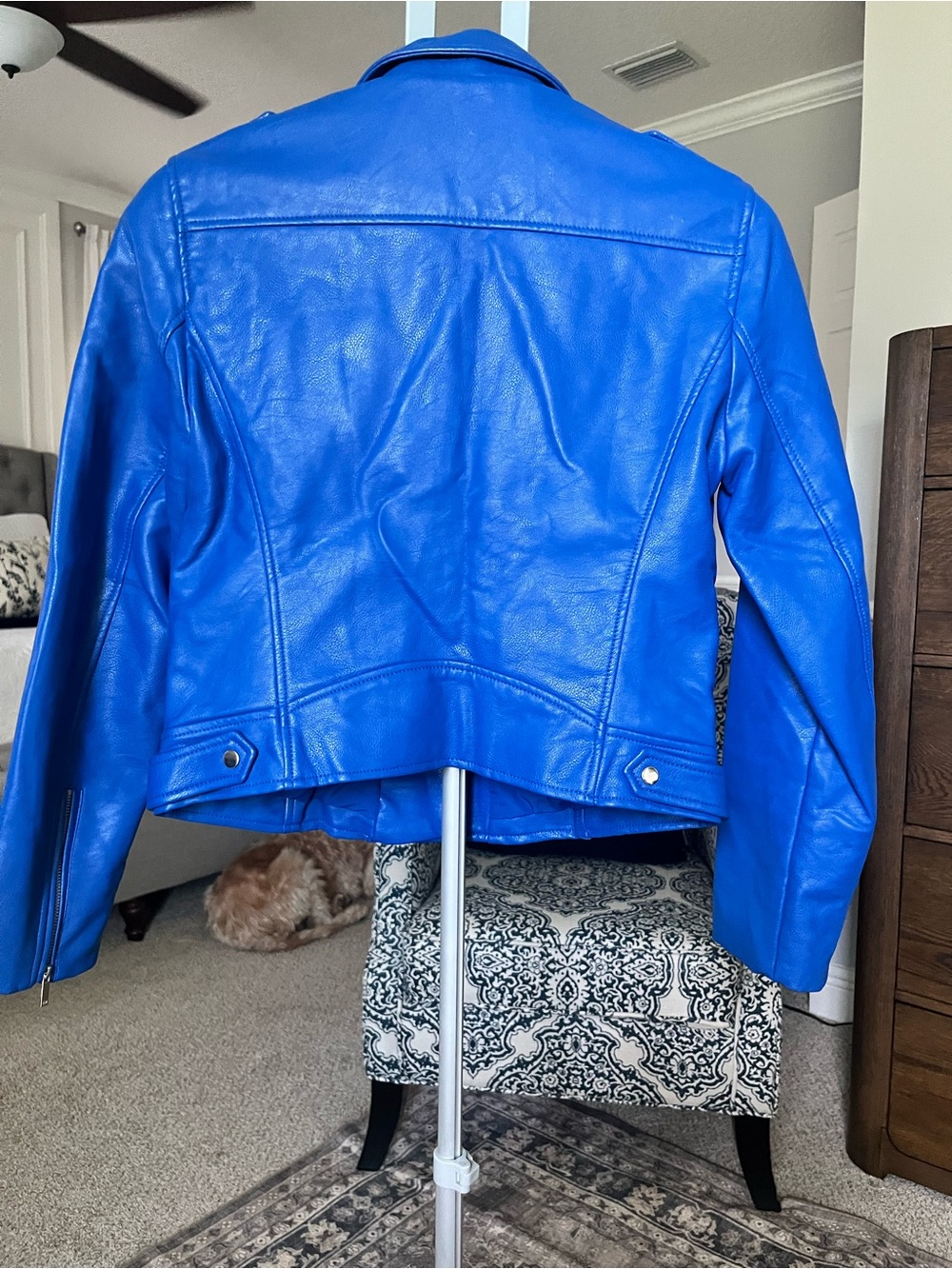 Blue Women's Faux Leather Moto Jacket - Picture 2 of 4